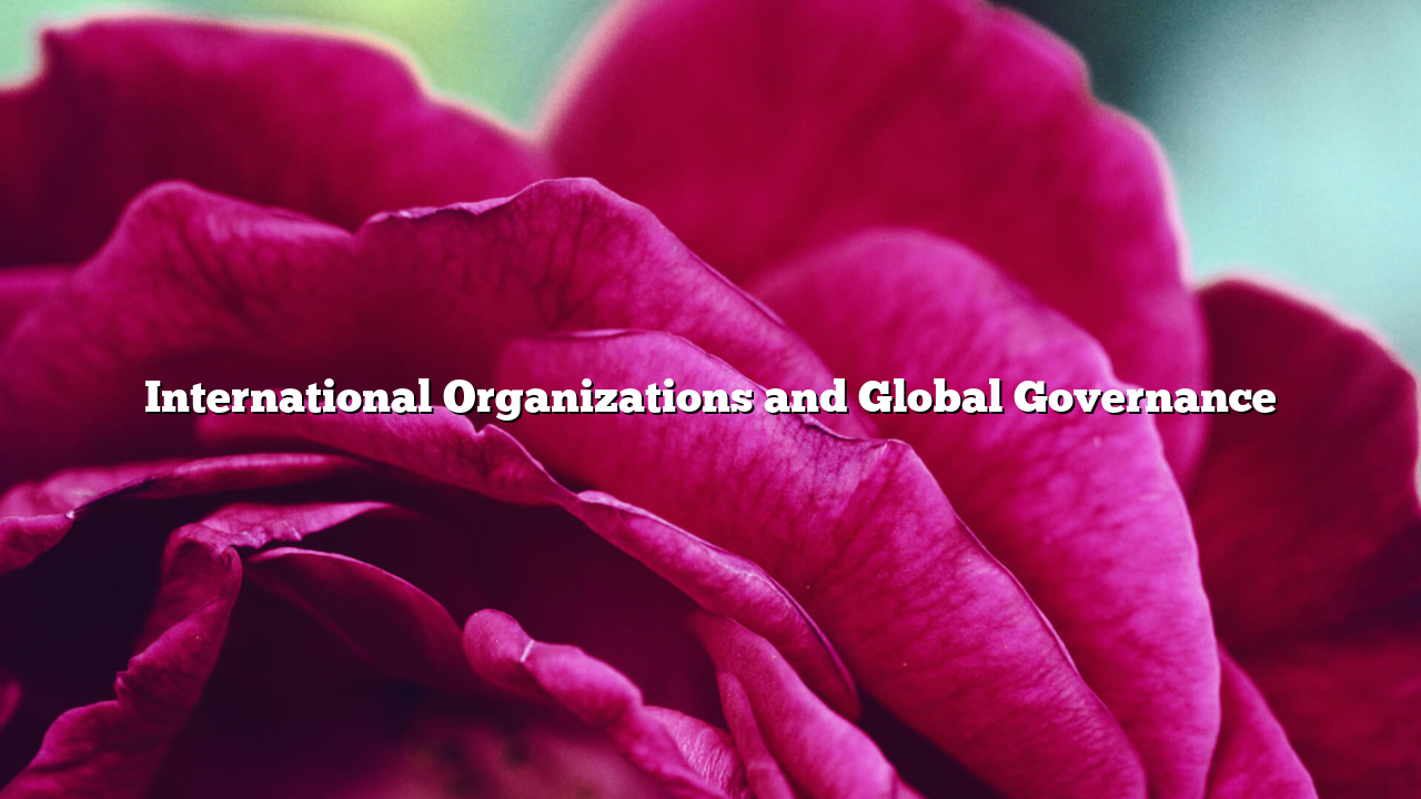 International Organizations and Global Governance