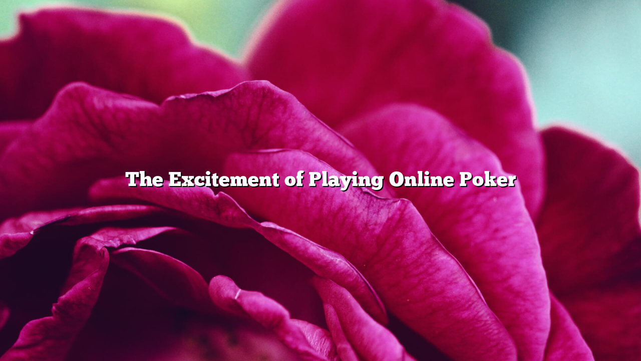 The Excitement of Playing Online Poker