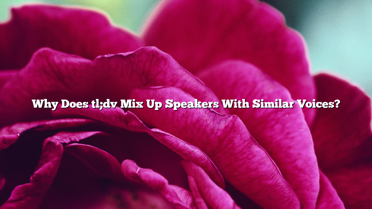 Why Does tl;dv Mix Up Speakers With Similar Voices?