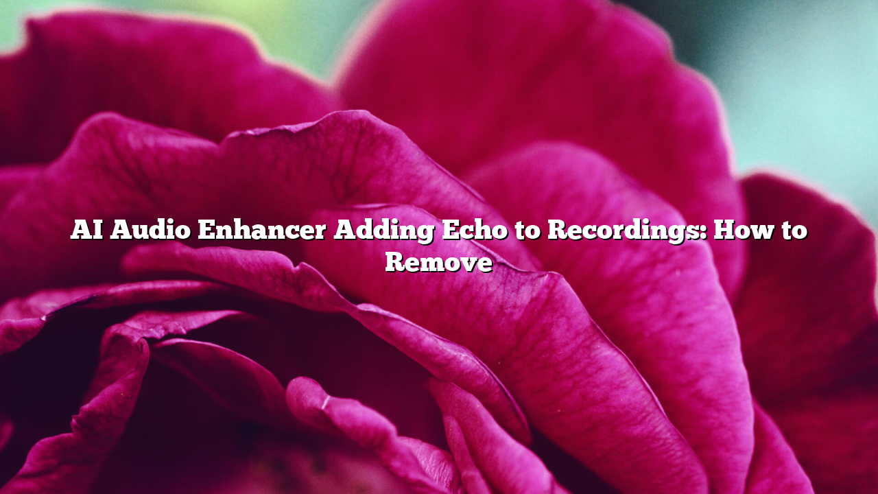 AI Audio Enhancer Adding Echo to Recordings: How to Remove